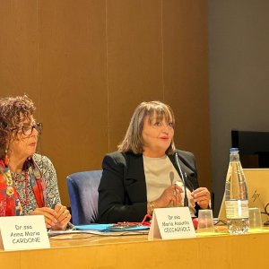 assemblea 19.11.25_4